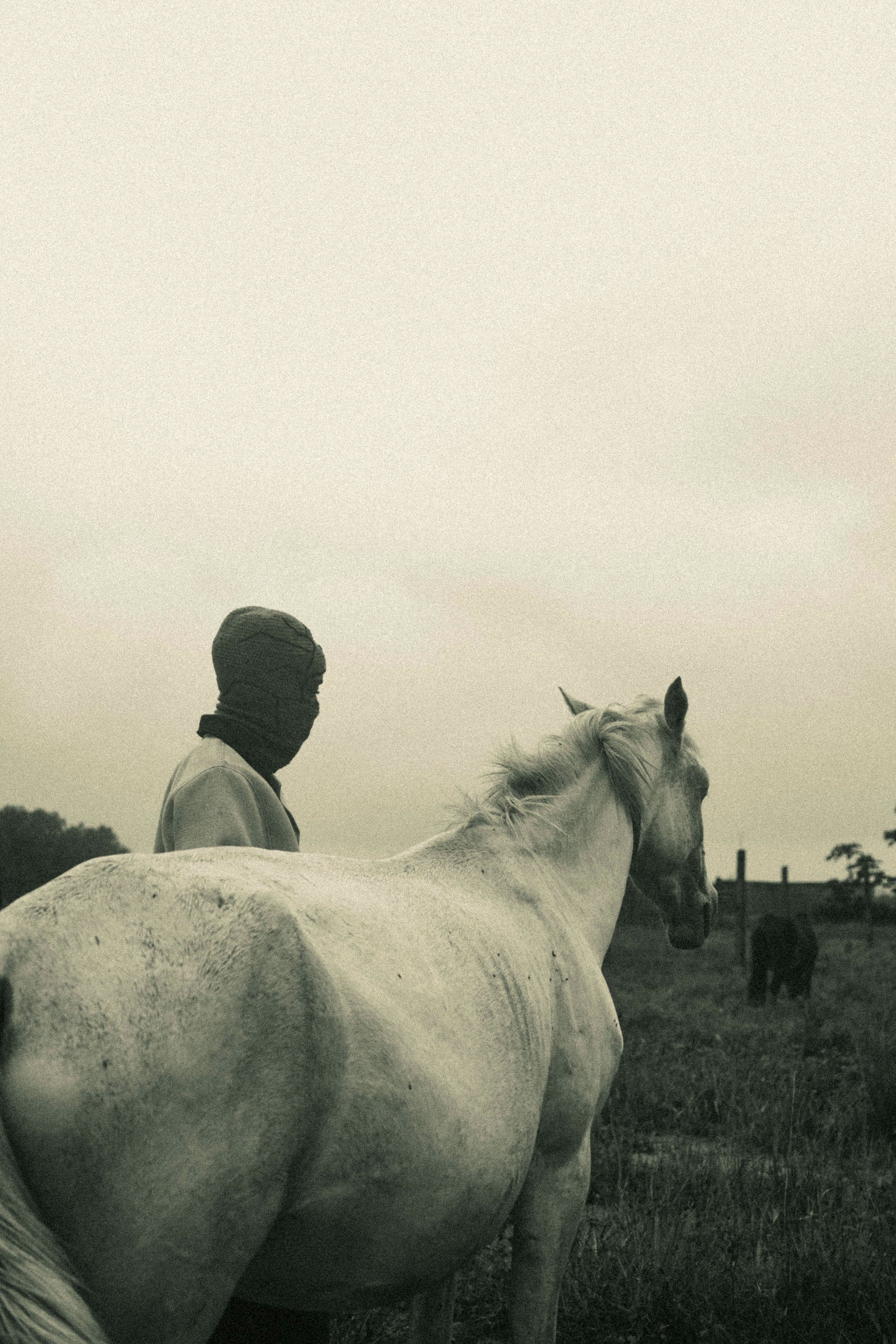 BaBal — Le cheval blanc